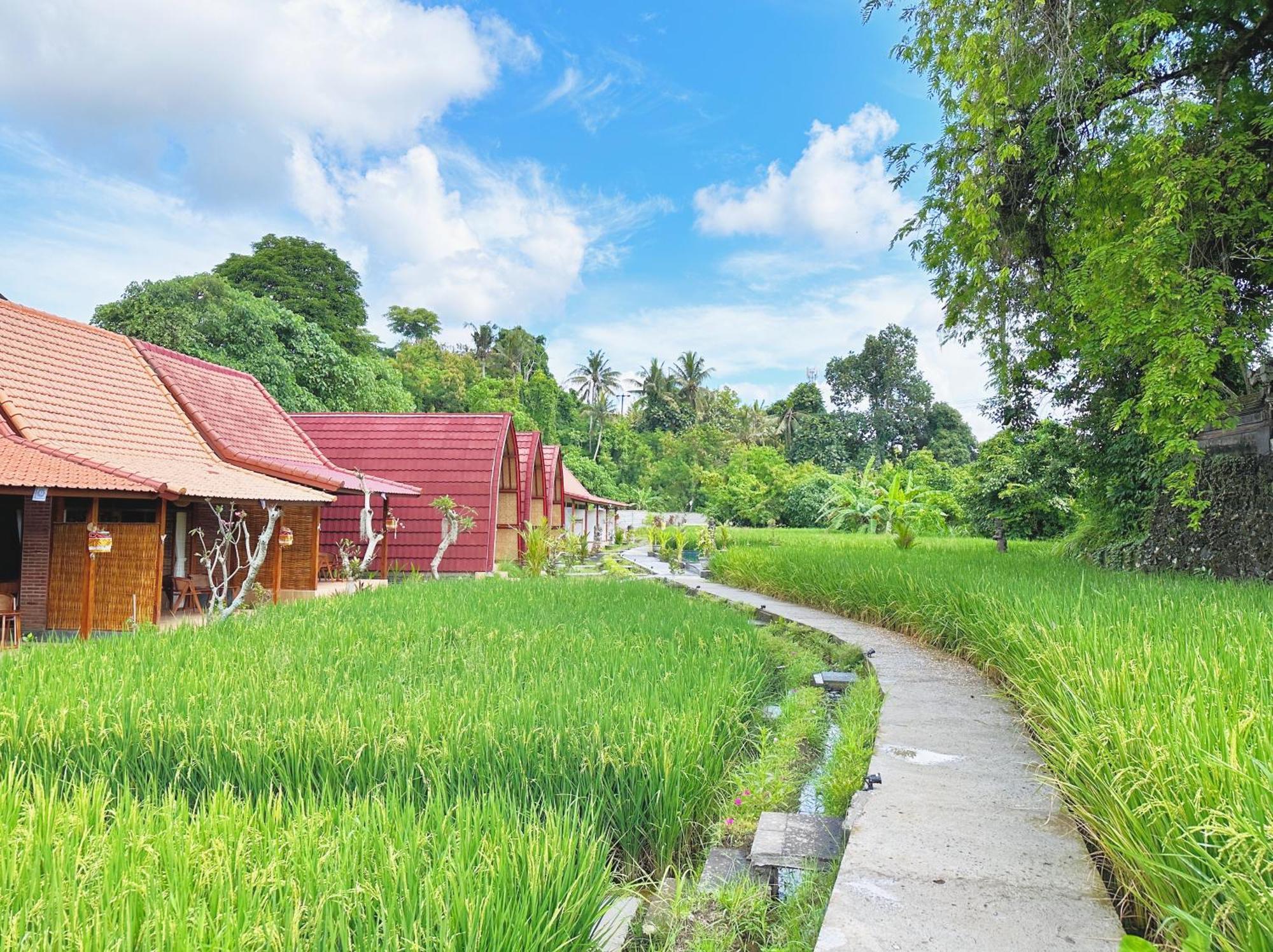 Uma Raos Cottage 우붓 외부 사진